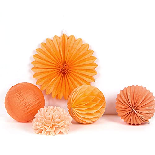 SUNBEAUTY Décoration en papier abricot Set de 5 déco Lampion rose Boule nid d'abeille Pompom Éventail Pêche...