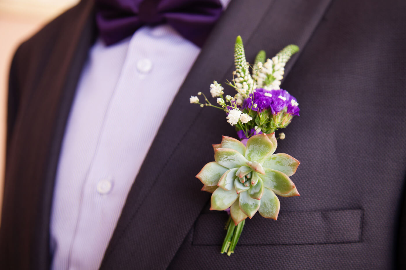 Pin's Succulentes