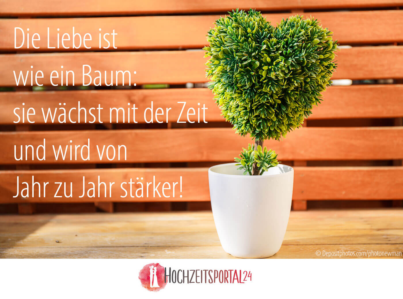 planter un arbre mariage slogan