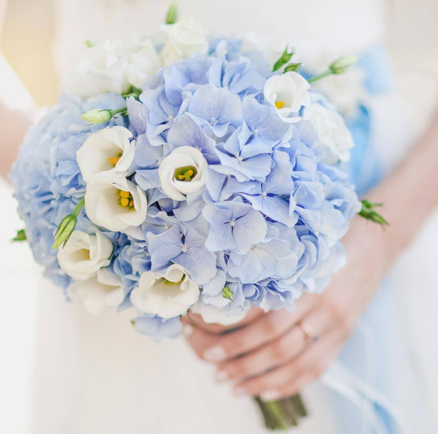Bouquet de mariée Hortensia bleu