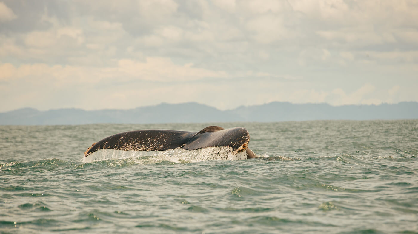Costa Rica voyages