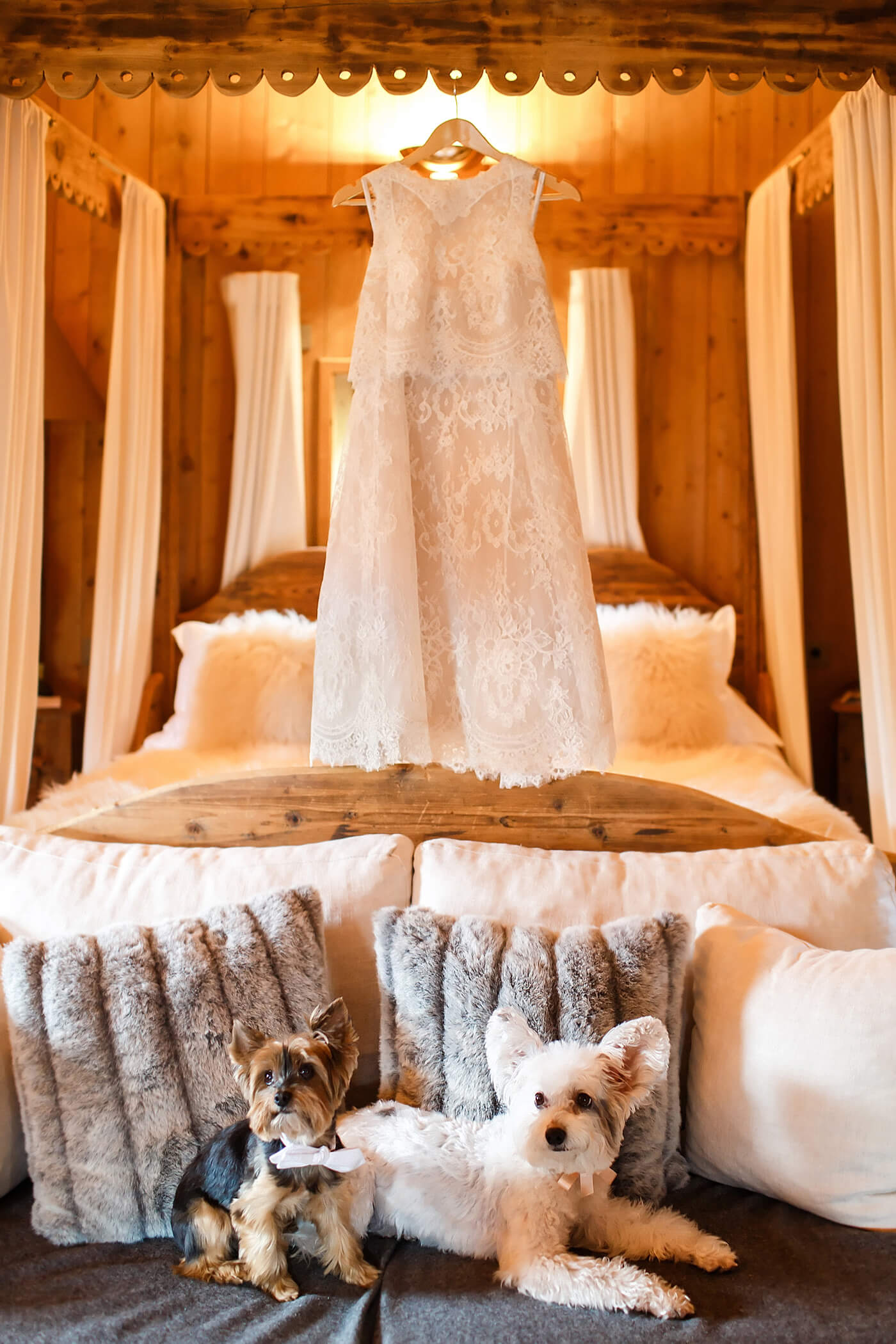 Mariage de la chienne