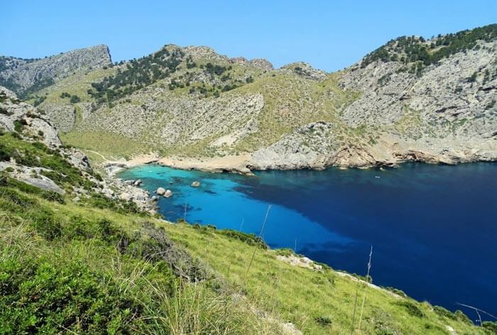 Mallorca Flittermoon