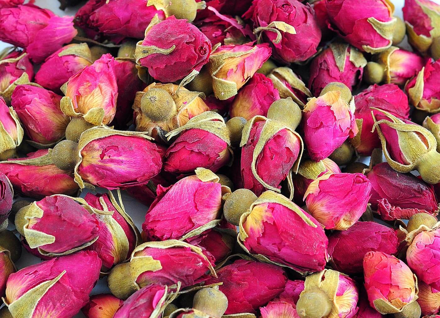 Têtes de roses fleurs