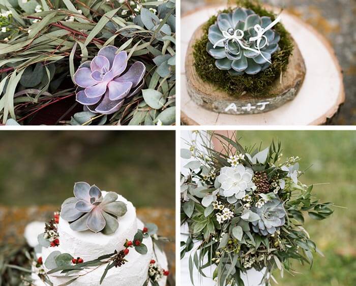 Succulentes pour décoration de mariage