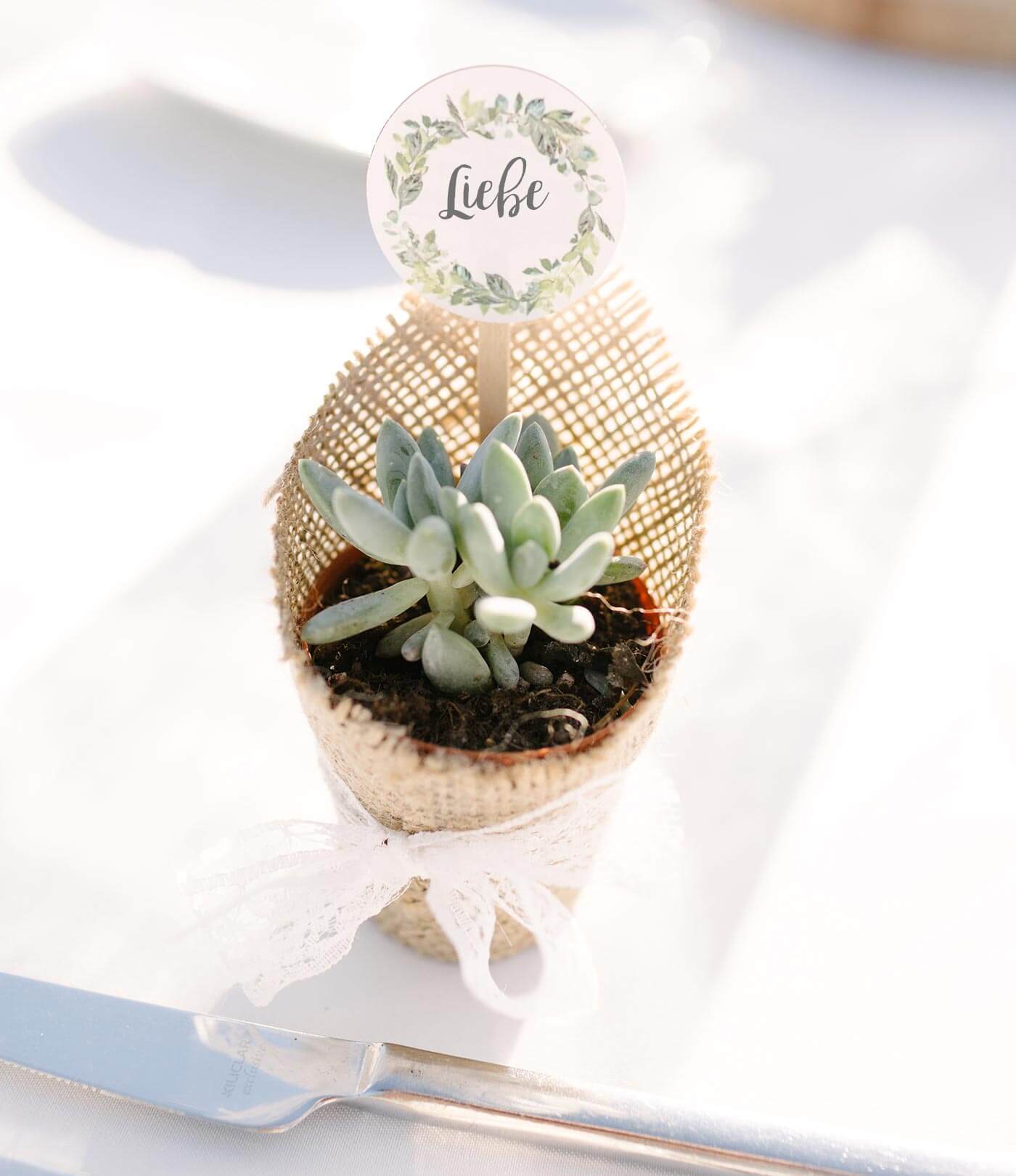 Mini mariage succulent