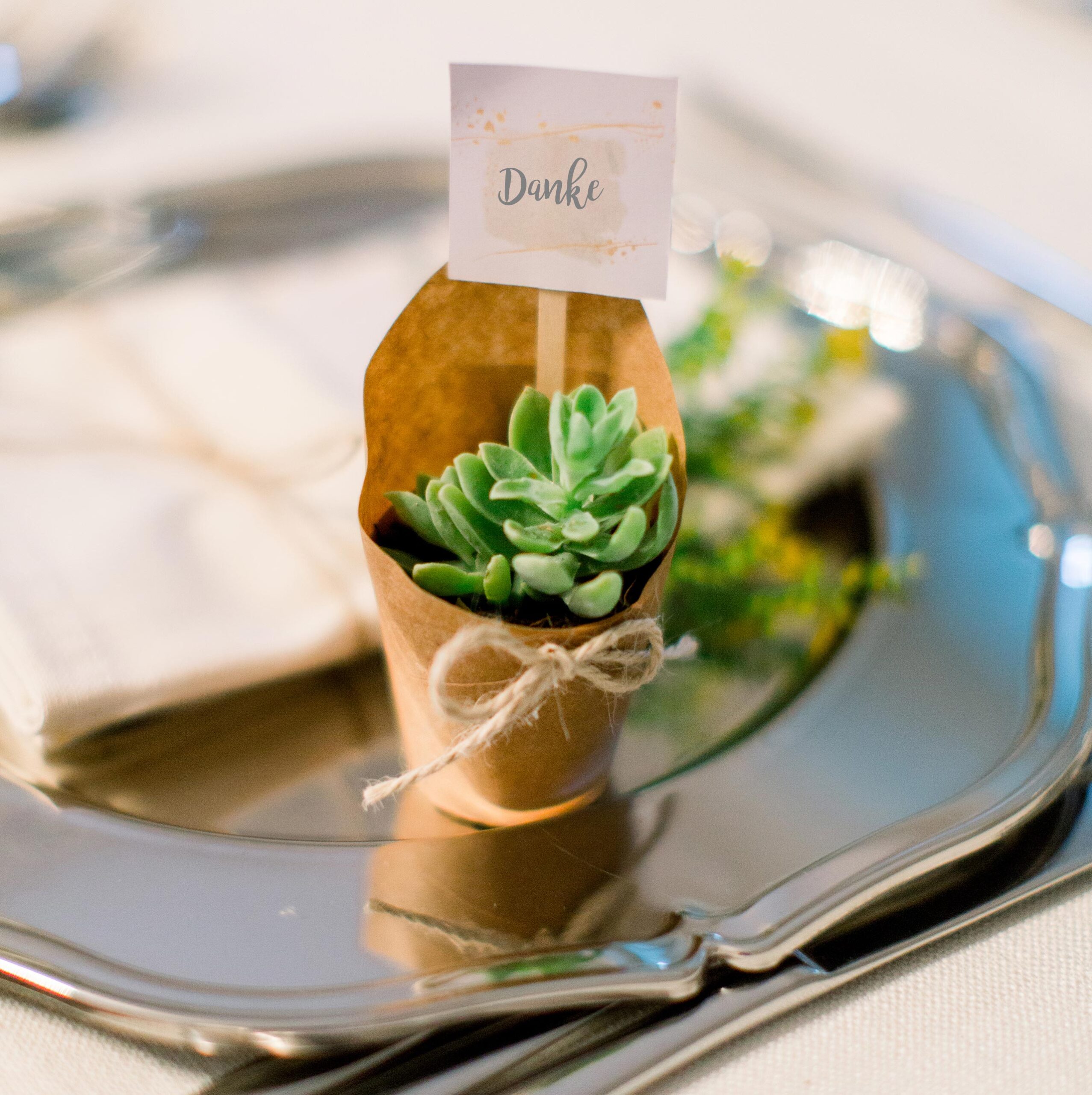 Succulentes cadeau invité