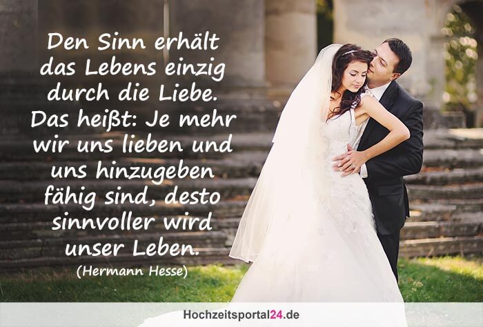 citations amour